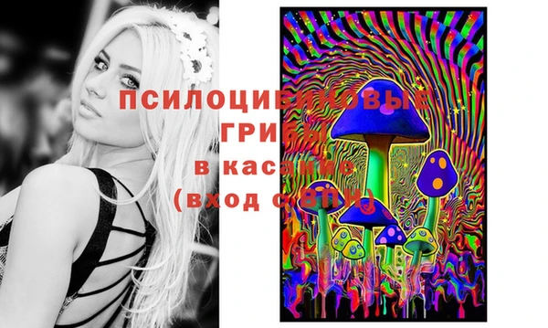 сатива Пересвет