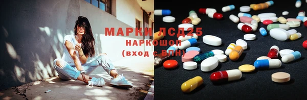сатива Пересвет