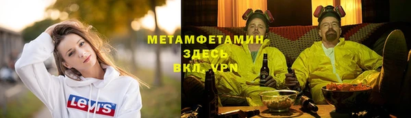 сатива Пересвет