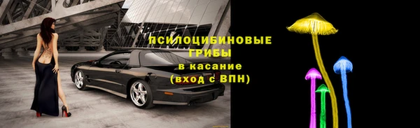 сатива Пересвет