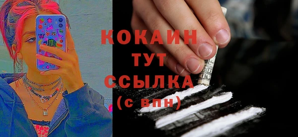 сатива Пересвет