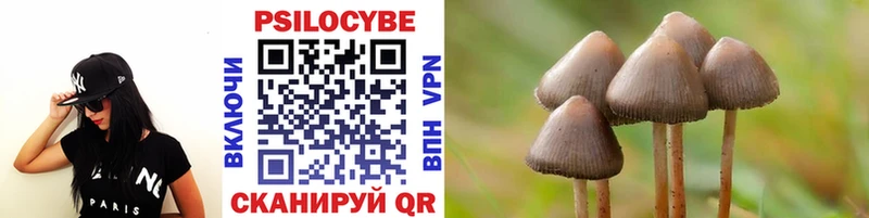 Псилоцибиновые грибы прущие грибы  Купить  Унеча 